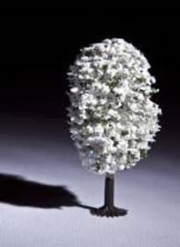 کومه کاج توپی سفید کد tr198-3