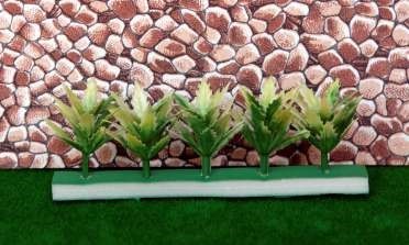 کومه درخت سرخس کد tr065-10