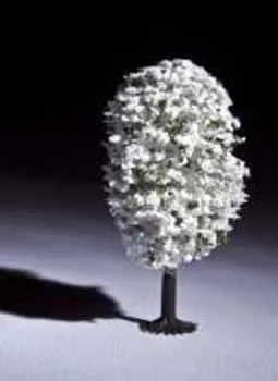 کومه کاج توپی سفید کد tr198-3